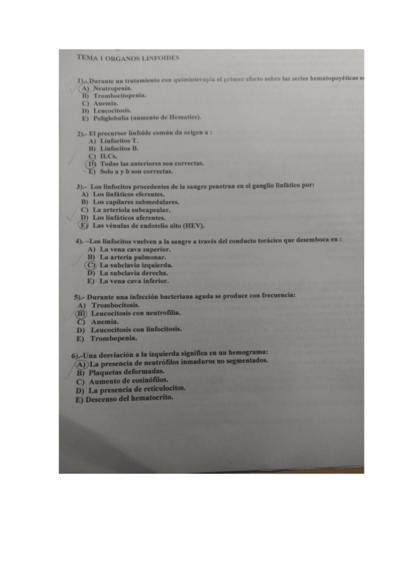 Miniatura del documento Primer-parcial-T.pdf