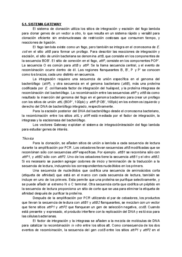 Miniatura del documento 5.pdf