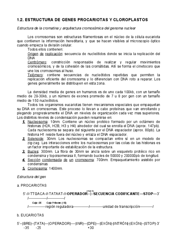 Miniatura del documento 1.pdf
