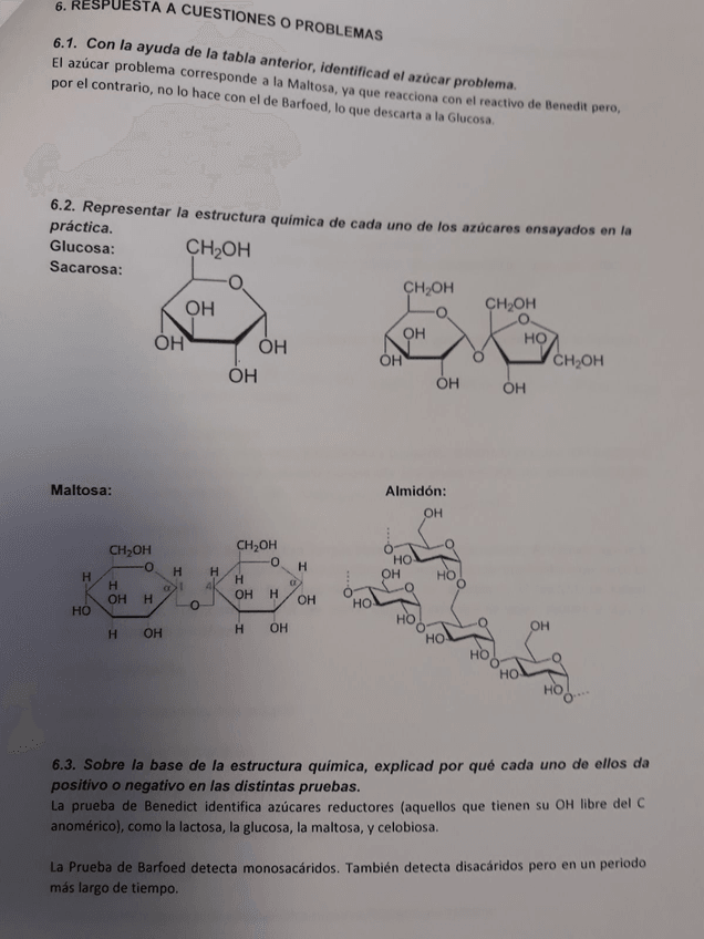 Miniatura del documento WhatsApp-Image-2017-10-14-at-11.jpg