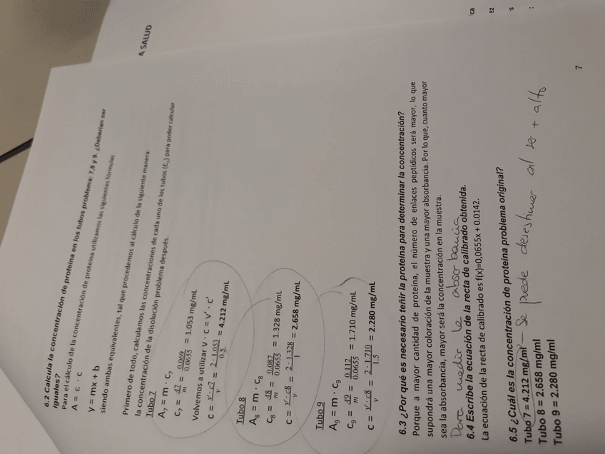 Miniatura del documento WhatsApp-Image-2017-10-14-at-11.jpg