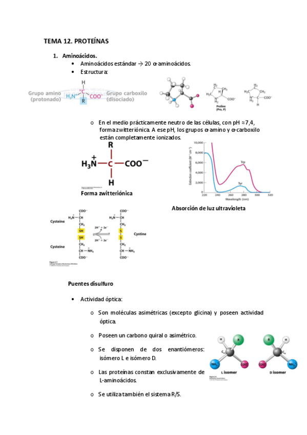 Miniatura del documento 12.pdf