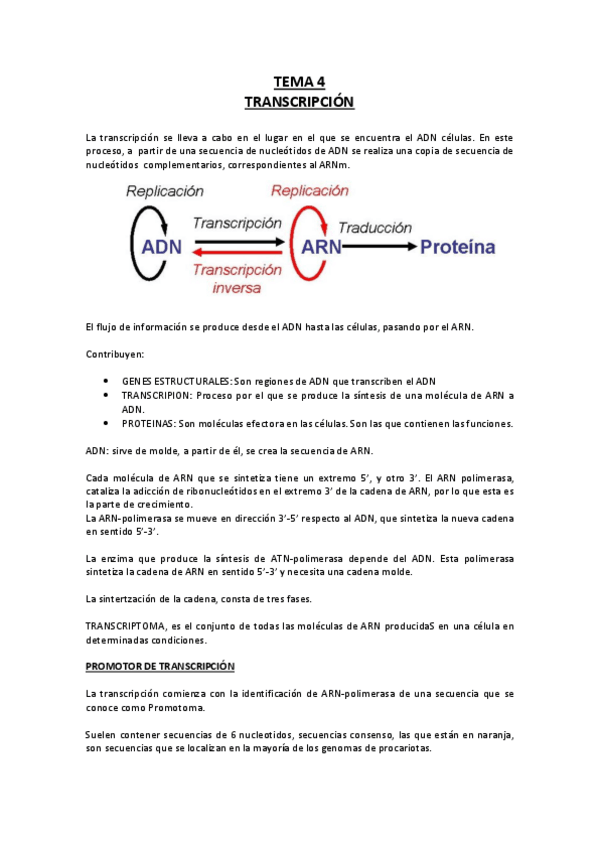 Miniatura del documento Tema-4-Bioquimica.pdf