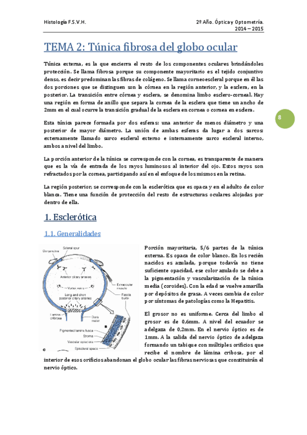Miniatura del documento TEMA 2 - Túnica fibrosa del glboo ocular.pdf