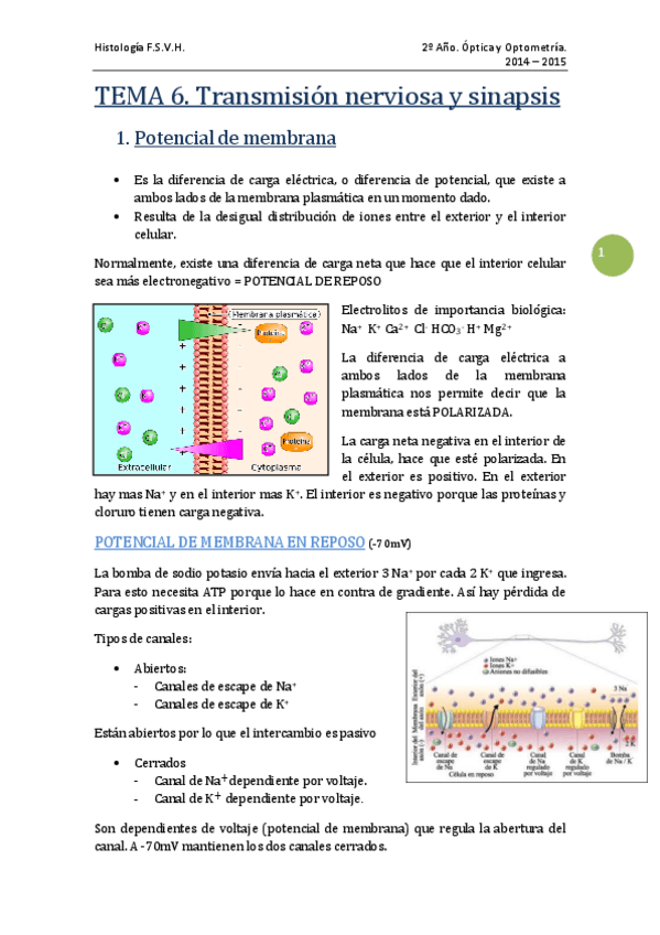 Miniatura del documento TEMA 6 - Transmisión nerviosa y sinapsis.pdf