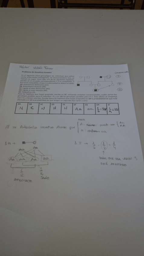 Miniatura del documento IMG-20160713-WA0010.jpg