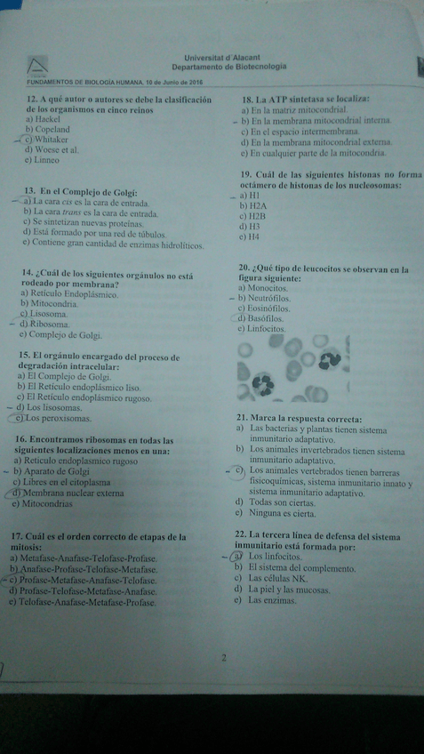 Miniatura del documento Examen-Junio-2.jpg
