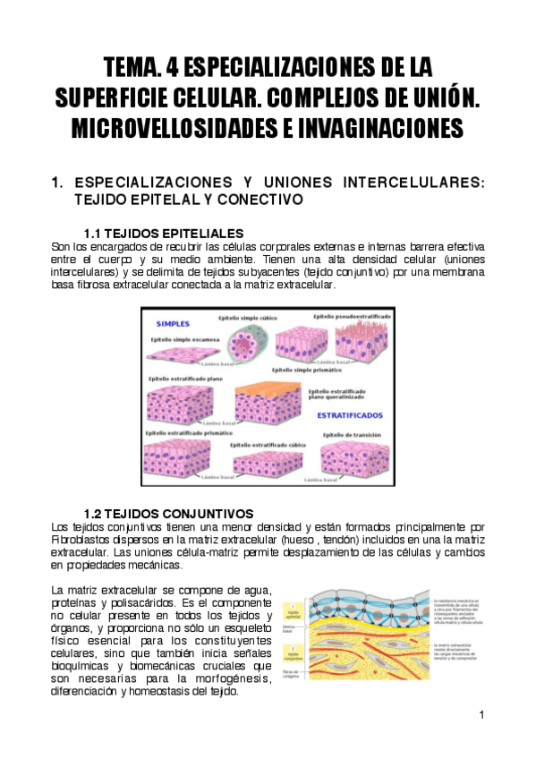 Miniatura del documento TEMA.pdf