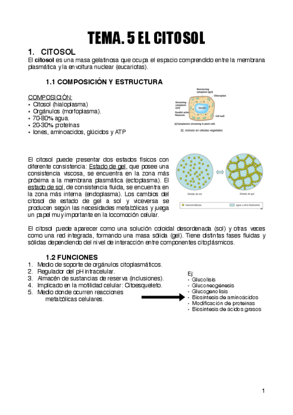 Miniatura del documento TEMA.pdf