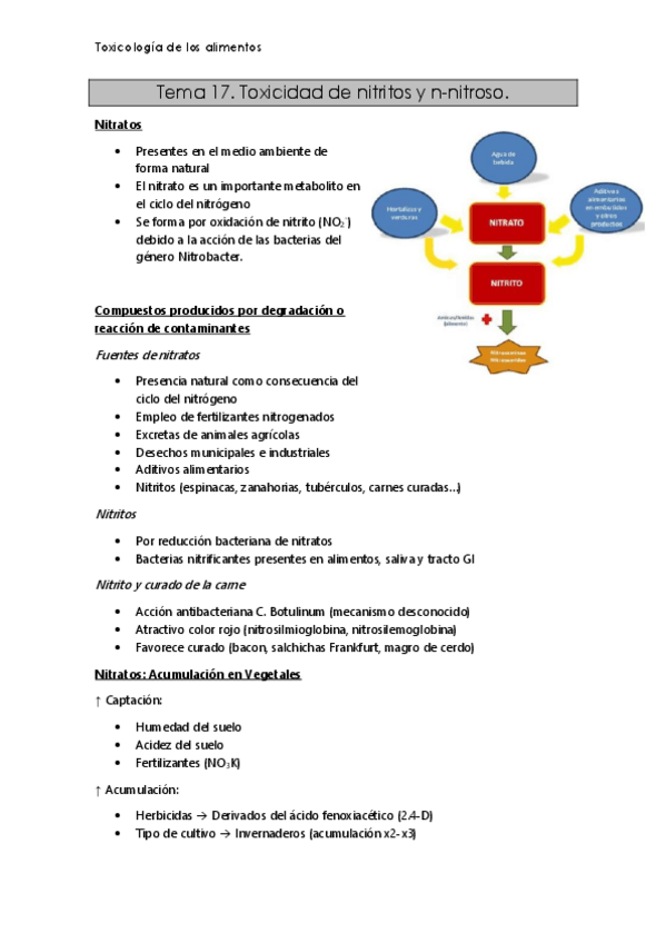 Miniatura del documento T17.pdf