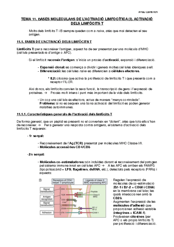 Miniatura del documento Apunts-Immunologia-Tema-11.pdf