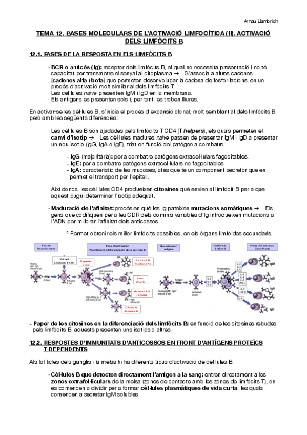 Miniatura del documento Apunts-Immunologia-Tema-12.pdf