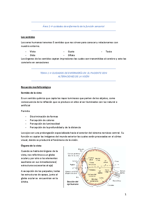 Miniatura del documento TEMA-1-alt-ojo.pdf
