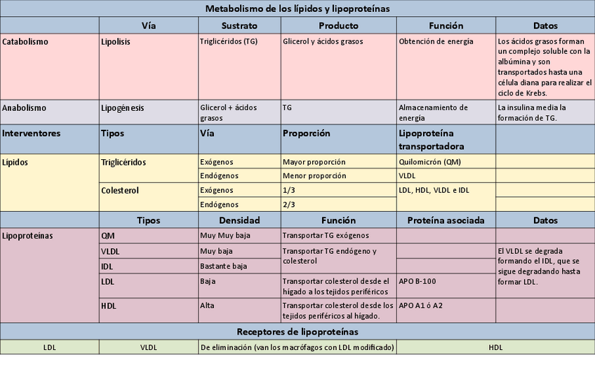 Miniatura del documento Tabla-metabolismo-lipidos.pdf
