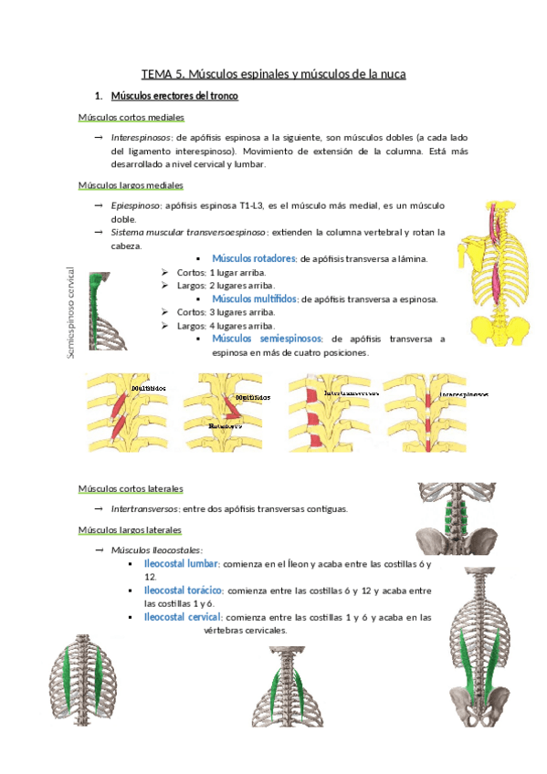 Miniatura del documento TEMA-5.pdf