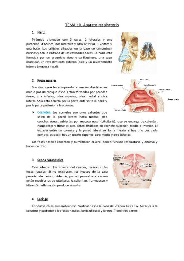 Miniatura del documento TEMA-10.pdf