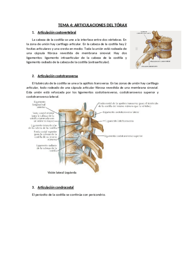 Miniatura del documento TEMA-4.pdf