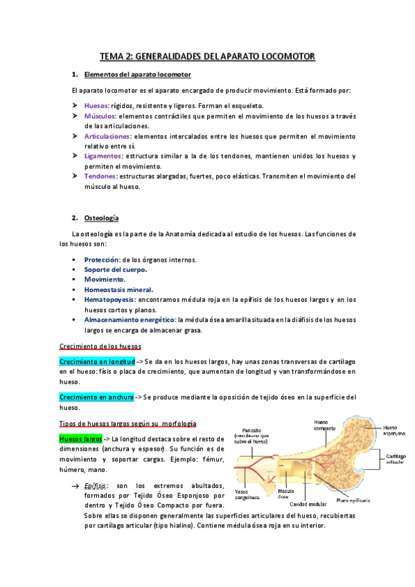 Miniatura del documento TEMA-2.pdf