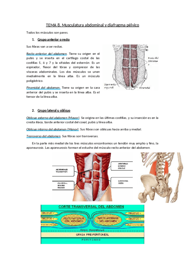 Miniatura del documento TEMA-8.pdf