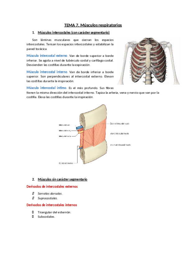 Miniatura del documento TEMA-7.pdf