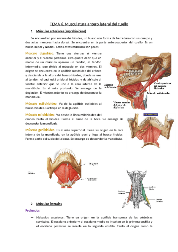 Miniatura del documento TEMA-6.pdf