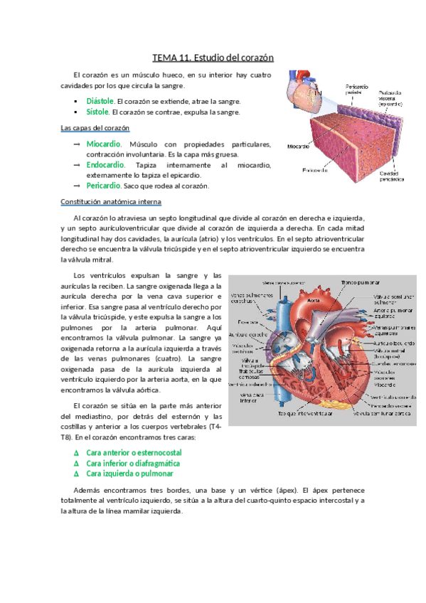 Miniatura del documento TEMA-11.pdf