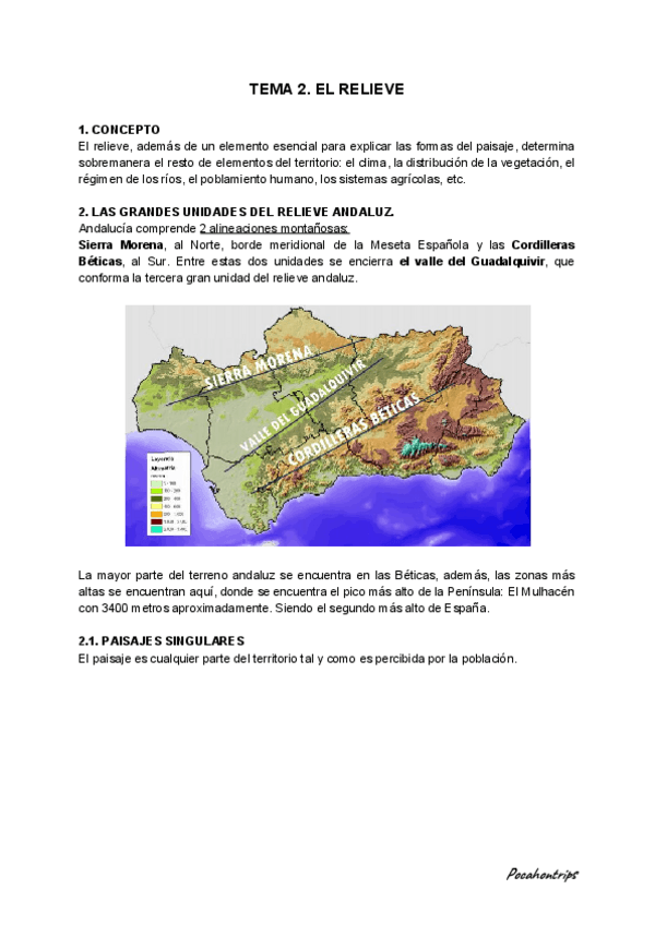 Miniatura del documento El-relieve.pdf