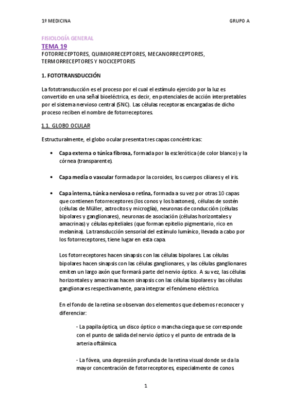 Miniatura del documento TEMA 19.pdf