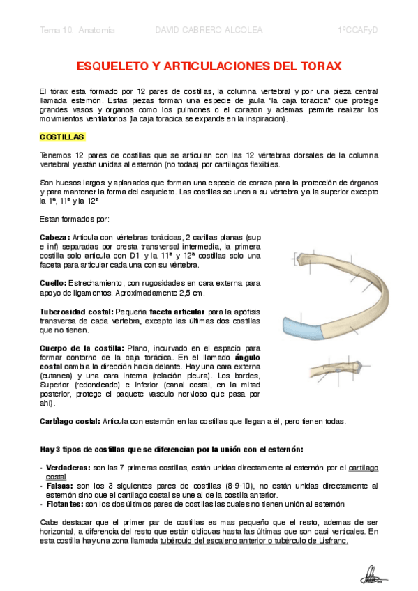 Miniatura del documento 10-PDF-Esqueleto-y-Articulaciones-del-Torax.pdf