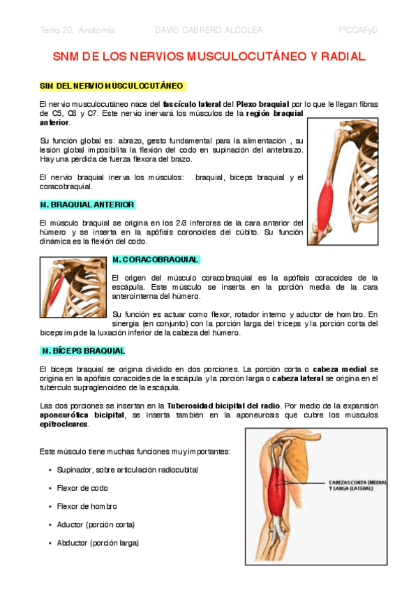 Miniatura del documento 20-PDF-SNM-de-los-nervios-musculocutaneo-y-radial.pdf