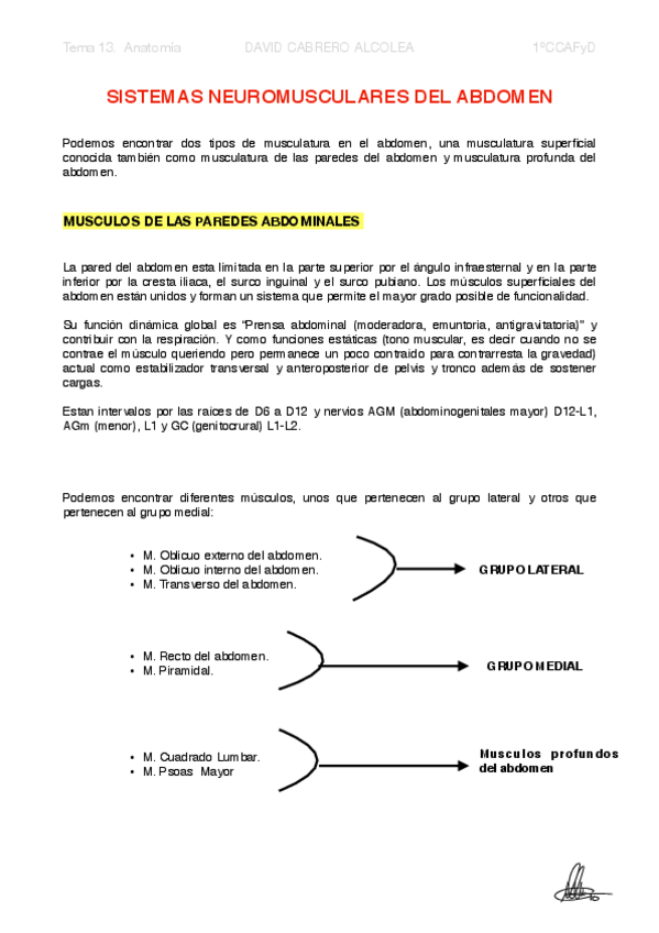 Miniatura del documento 13-PDF-Sistemas-neuromusculares-del-ABDOMEN.pdf