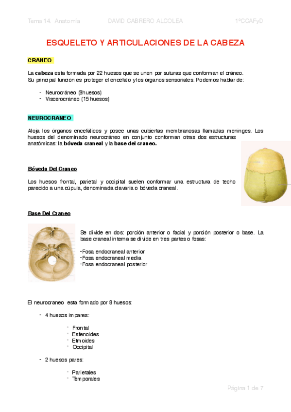 Miniatura del documento 14-PDF-Esqueleto-y-articulaciones-de-la-cabeza.pdf