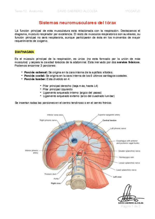 Miniatura del documento 12.pdf
