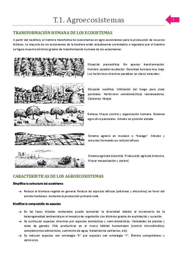 Miniatura del documento GRN-bioticos.pdf