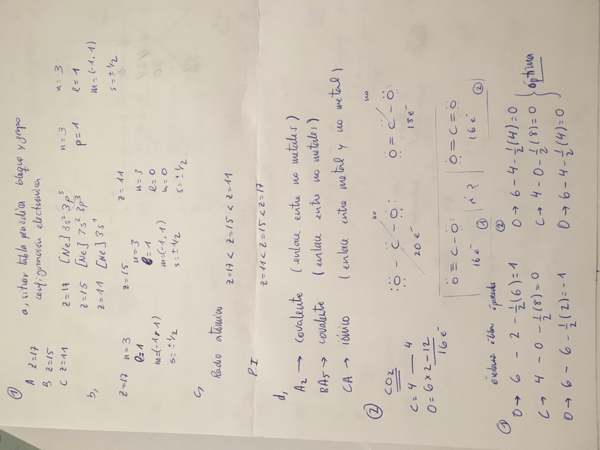 Miniatura del documento IMG_4618.JPG