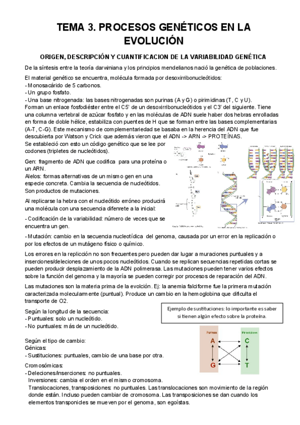 Miniatura del documento TEMA-3.pdf