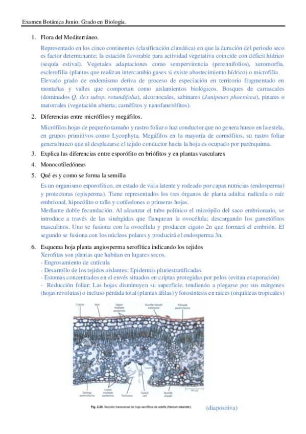 Miniatura del documento Examen-Botanica-Junio.pdf