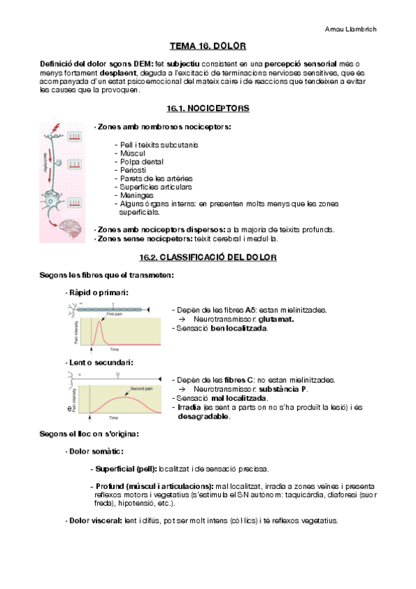 Miniatura del documento Apunts-Fisiologia-i-Fisiopatologia-I-Tema-16.pdf
