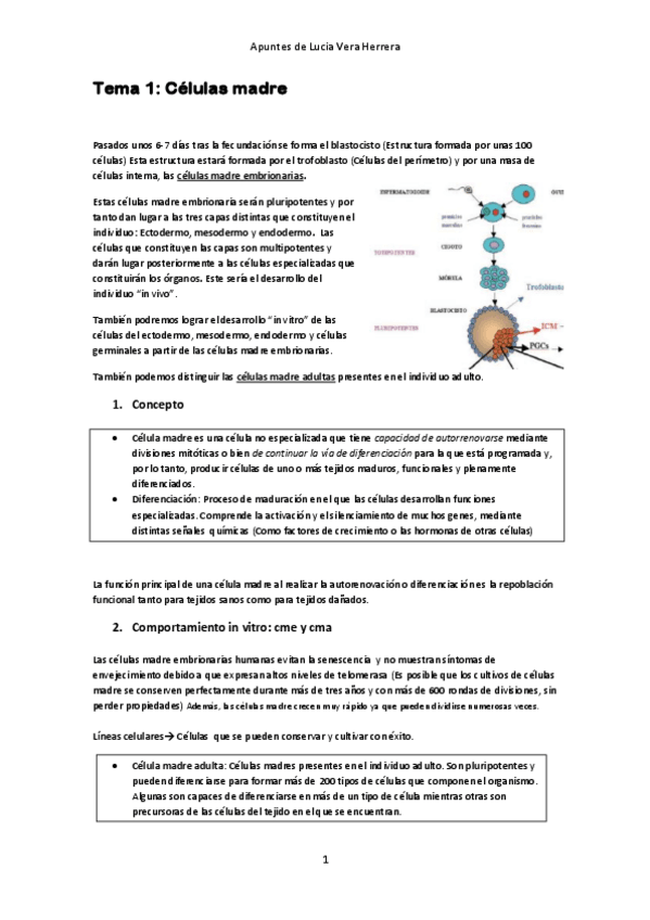 Miniatura del documento Tema 1. Células madre.pdf