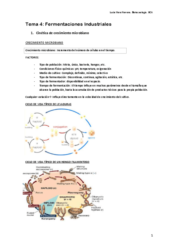 Miniatura del documento Tema 4. Fermentaciones Industriales.pdf