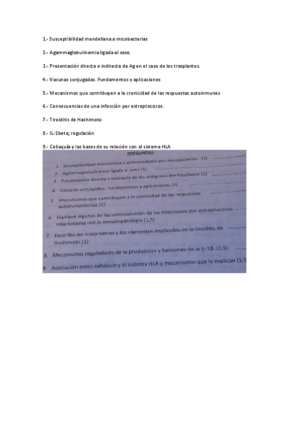 Miniatura del documento EXAMEN - FINAL (1).pdf