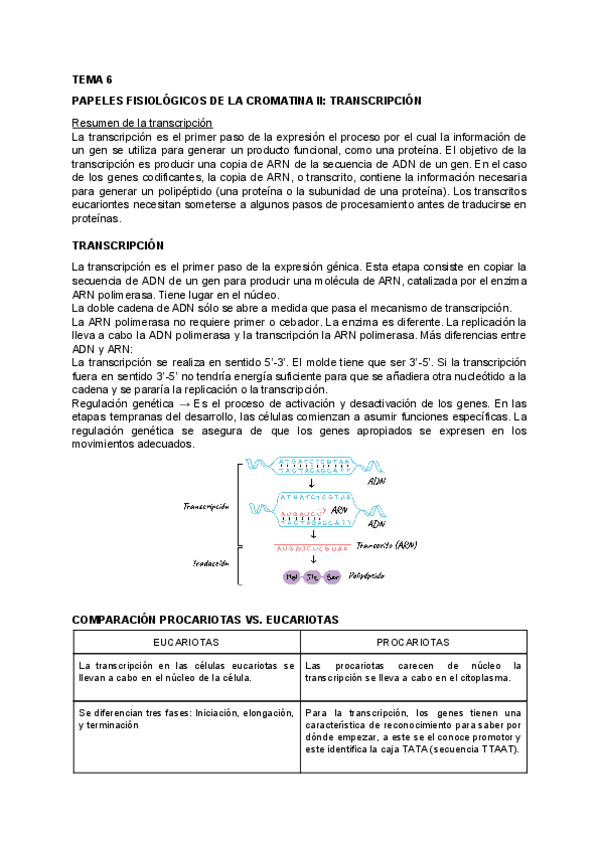 Miniatura del documento BIOLOGIA-TEMA-6.pdf
