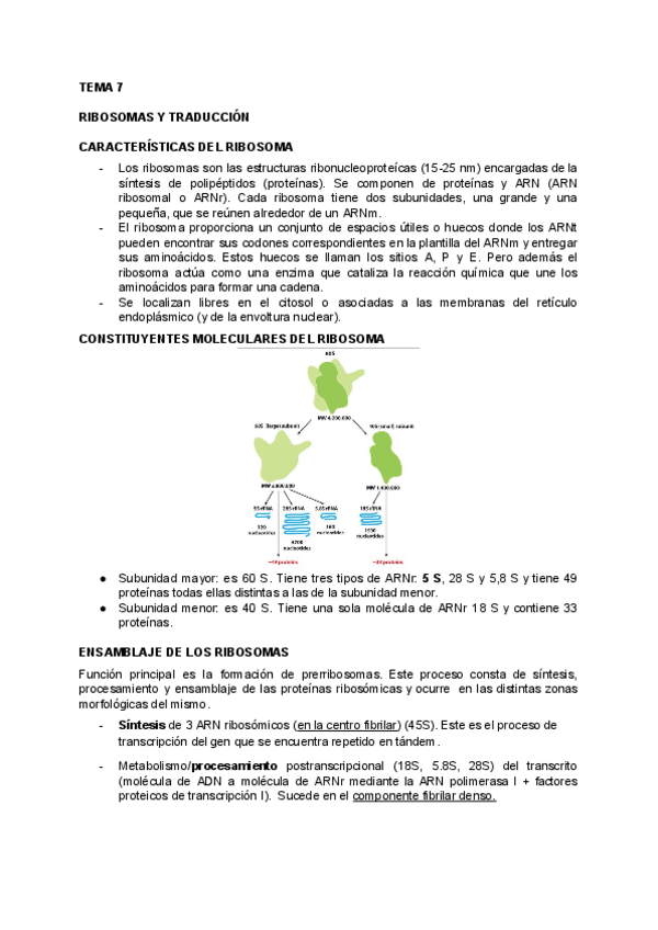 Miniatura del documento BIOLOGIA-TEMA-7.pdf