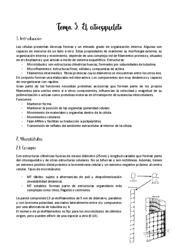 Miniatura del documento Tema-5.pdf