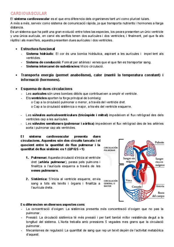 Miniatura del documento Fisiologia-cardiovascular.pdf