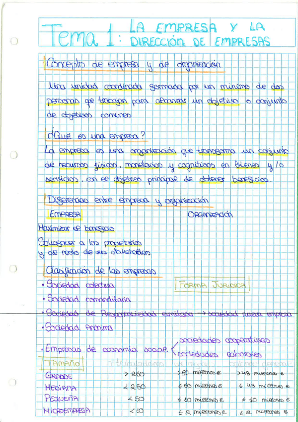 Miniatura del documento TEMA-1-TEMA-9.pdf