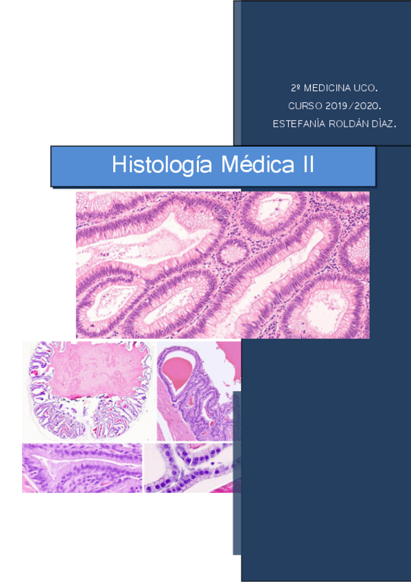 Miniatura del documento Histologia-Medica-II.pdf