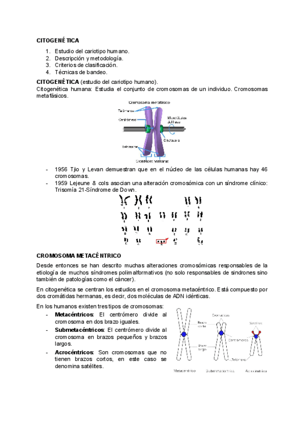 Miniatura del documento BIOLOGIA-CITOGENETICA.pdf