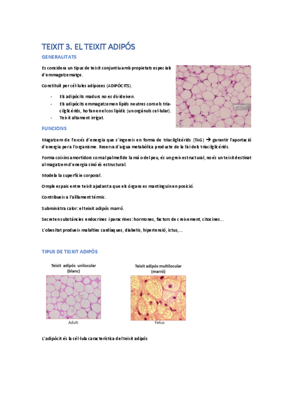 Miniatura del documento teixit-adipos.pdf