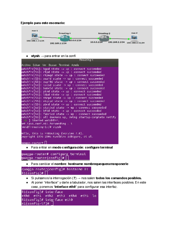 Miniatura del documento Comandos-FRRouting-y-PASOS-a-seguir-para-configurarlo.pdf